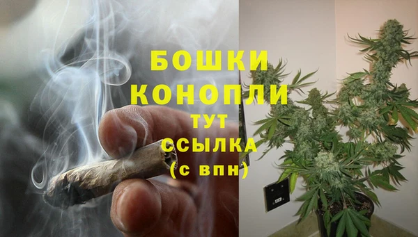 тгк Липки