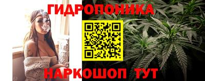 2c-b Абакан
