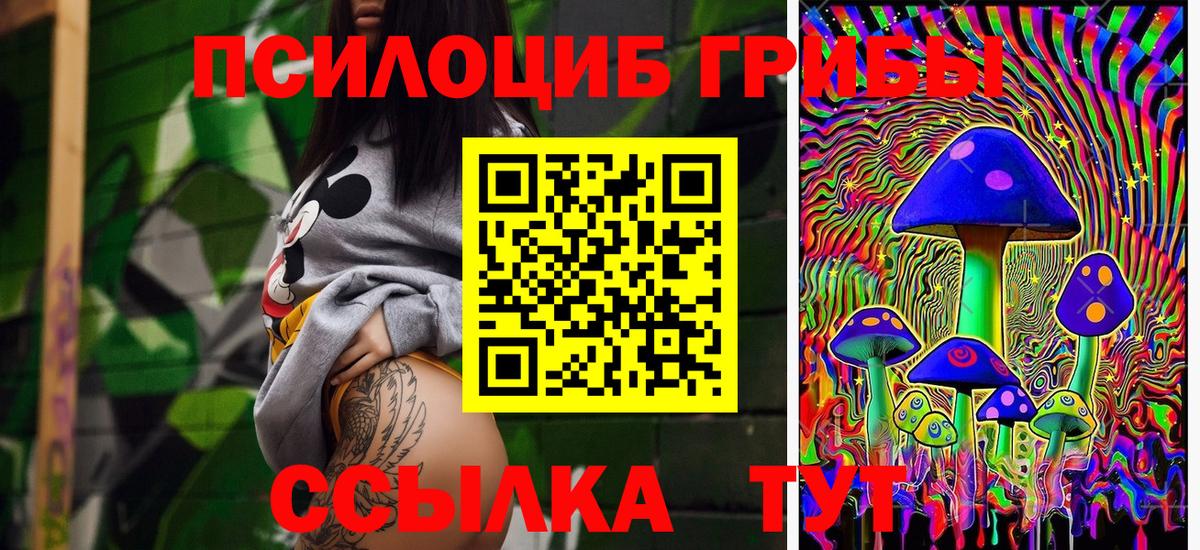 Псилоцибиновые грибы ЛСД  Алушта  Псилоцибиновые грибы Psilocybine cubensis 