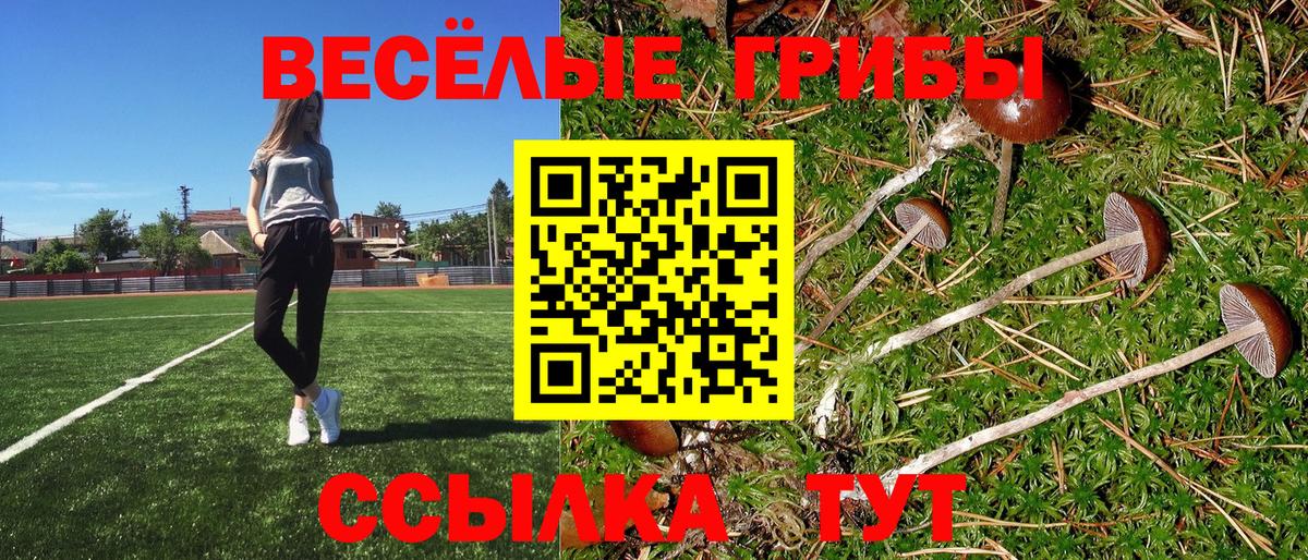 Псилоцибиновые грибы GOLDEN TEACHER  наркота  Алушта  Вход с VPN 