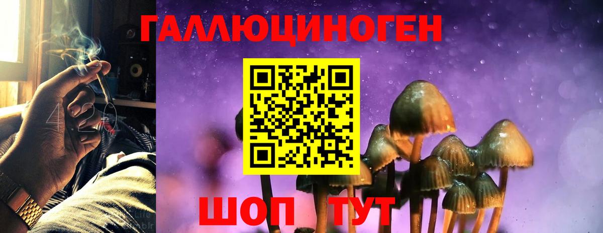 Алушта  Галлюциногенные грибы мухоморы  Вход с VPN 